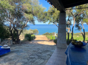 La PAVONCELLA 1